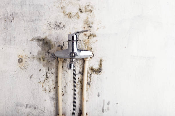 Best Mold Testing and Inspection Services in Fort Dix, NJ