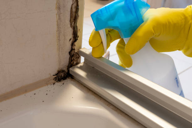  Fort Dix, NJ Mold Removal Pros
