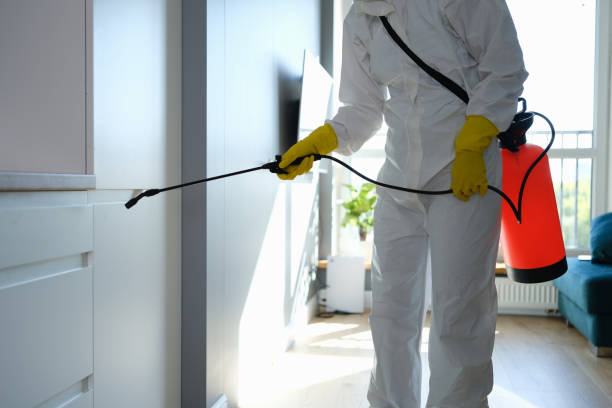 Best Basement Mold Remediation in Fort Dix, NJ