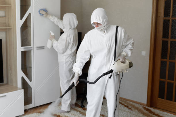 Best Black Mold Remediation in Fort Dix, NJ