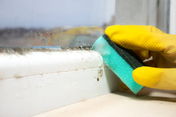 Best HVAC Mold Remediation in Fort Dix, NJ